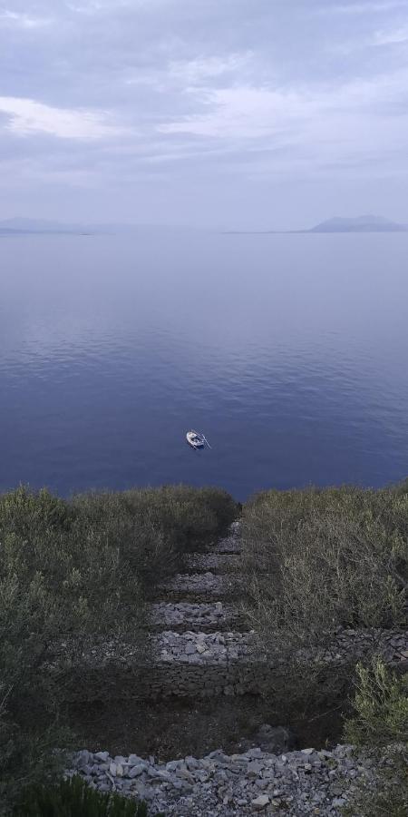 House On Punta Villa Vela Luka Eksteriør bilde